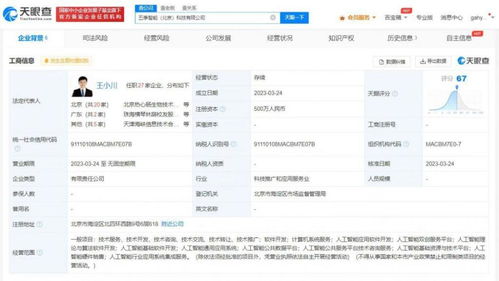 王小川五季智能啟航 打造中國版OpenAI的人工智能基礎軟件新篇章